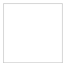 

EXTENSION

07
«MAGALI»
 